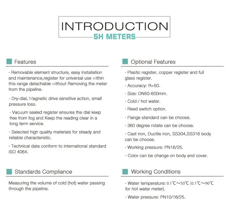 woltman water meter