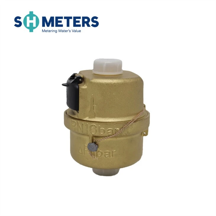 DN15 ~ 40 Meteran Air Piston Rotary Volumetrik