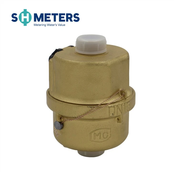 DN15~40 Volumetric Rotary Piston Water Meter